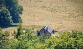 Tocht Stappen Omblèze - Plateau d'Ambel (le tour) - Photo 7