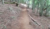 Tour Wandern Aydat - Puy de Vichatel depuis la Garandie - Photo 7