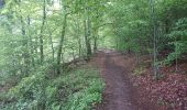 Tour Zu Fuß Willebadessen - Alte Eisenbahn Rundweg A3 - Photo 4