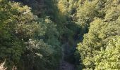 Trail Walking Oberhaslach - Cascade et château du Nideck - petit tour - Photo 3