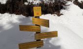 Trail Snowshoes Beaufort - Areches - Plan Villard - Photo 7
