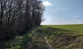 Trail Walking Cormery - Cormery gare - Tauxigny - 19.5km 170m 4h35 (40mn) - 2025 03 02 - Photo 1