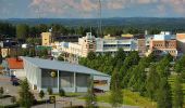 Tour Zu Fuß Siilinjärvi - Tarinaharju-Patakukkula -luontopolku - Photo 2