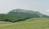 Tour Wandern Omblèze - Le Plateau d'Ambel du Col de la Bataille - Photo 8