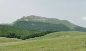 Trail Walking Omblèze - Le Plateau d'Ambel du Col de la Bataille - Photo 8