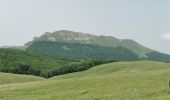 Randonnée Marche Omblèze - Le Plateau d'Ambel du Col de la Bataille - Photo 8