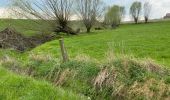 Tour Wandern Brakel - Everbeek 18,4 km - Photo 2