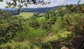 Randonnée Marche Rambrouch - au pays de l ardoise  - Photo 7