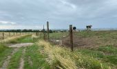 Tocht Stappen Heuvelland - Nieuwekerke Bailleul 17,5 km - Photo 14