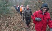 Trail Walking Fontainebleau - cabaret masson 10 février 2023  - Photo 3