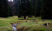 Tocht Te voet Neuhaus am Rennweg - 6-Kuppen-Steig - Photo 8