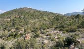 Trail Walking Fréjus - Depuis la Louve en boucle - Photo 9