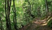 Trail Walking Bagnères-de-Luchon - GR10 J1 BagnÃ¨re des Luchon-Artigue - Photo 1