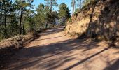 Excursión Senderismo Mandelieu-la-Napoule - Esterel volcan - Photo 3