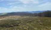 Tour Wandern Metzeral - 24 04 14 autour d’Uffrain - Photo 1