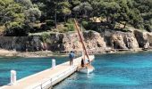 Tocht Stappen Hyères - Tour de la Presqu'île de Giens-05-04-23 - Photo 10