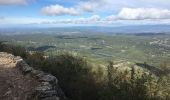 Randonnée Marche Vauvenargues - Sainte-Victoire (accès par Vauvenargues et GR9) - Photo 1