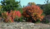 Tocht Stappen Solliès-Toucas - SityTrail - siou blanc - Photo 16