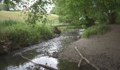 Tour Wandern Herve - 20200603 - Renouprez 7 Km - Photo 20