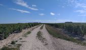 Trail Mountain bike Chablis - Tacot de l'yonne le long du Serein - Photo 6