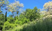 Trail Walking La Ferté-Alais - T-Misery - Photo 7