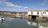 Percorso Mountainbike La Couarde-sur-Mer - 17-VTT-la-Couarde-Loix-24km - Photo 10