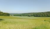 Tour Wandern Coulombs-en-Valois - le Clignon - Photo 4