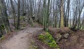 Tour Wandern Esneux - beauregard . famelette . roche aux faucons . plainevaux . beau beauregard - Photo 10