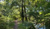 Tour Wandern Pontenx-les-Forges - PONTENX REALISÉ - Photo 3