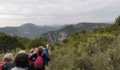 Trail Walking Ollioules - Les grottes de Chateauvallon - Photo 20