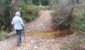 Trail Walking Roquebrune-sur-Argens - ROQUEBRUNE-Le pas de l' Eouvé- MBO - Photo 2