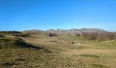 Trail Walking Bouvante - Puy de la Gagère et Glacière en boucle depuis Font d'urle - Photo 1