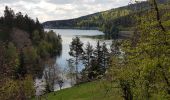 Tour Wandern Forbach - Rote Lache - Lac Schwarzenbachstausee - Badener Höhe (Rother n°39) - Photo 6
