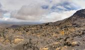 Tocht Te voet Unknown - Te Araroa - 04 Whanganui - a Tongariro Alpine Crossing - Photo 7