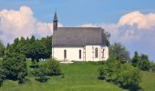 Tour Zu Fuß Bad Schallerbach - Landlweg - Photo 7