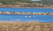 Tour Wandern Gruissan - tour de l'île Saint Martin  - Photo 4