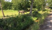 Trail Walking Mées - Circuit des Barthes Neuves Mées le 8juin 2019 - Photo 7