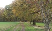 Tocht Stappen Esneux - amostrenne, les crêtes . limon. hestreux . targnon . retour  - Photo 3