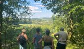 Trail Walking Marche-en-Famenne - Lignières - Photo 1