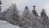 Trail Touring skiing Xonrupt-Longemer - 02-12-23 ski rando nordique chaume de Balveurche - Photo 2