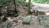 Percorso A piedi Waldbrunn - Rundwanderweg 53: Wolfsschlucht-Weg - Photo 7