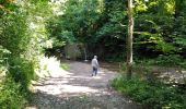 Tour Wandern Seraing - boncelles, château de plaineveaux +village  - Photo 4