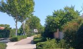 Trail Walking Saint-Cyprien - st cyprien les monges. St cyprien plage . St cyprien port . capellans . retour les monges  - Photo 19