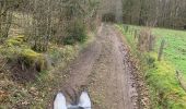 Trail Horseback riding Bastogne - Livarchamps - Photo 2