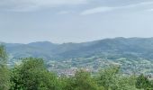 Trail Walking Saint-Jean-Pied-de-Port - St jean pied de port    pic arradoy  St j p de p  - Photo 7