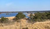 Tour Wandern Kalmthout - Kalmthout bis 20 km - Photo 14