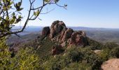 Trail Walking Saint-Raphaël - pic du cap Roux depuis le cap roux - Photo 1