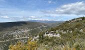Trail Walking Monieux - Les vieux village saint jean de Sault - Photo 9