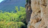 Tocht Stappen Millau - Millau creissels cascades crête du larzac - Photo 4