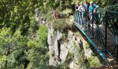 Trail Walking Dourbies - aigoual esperou - Photo 1